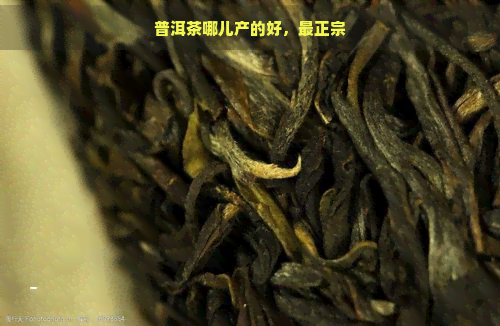 普洱茶哪儿产的好，最正宗