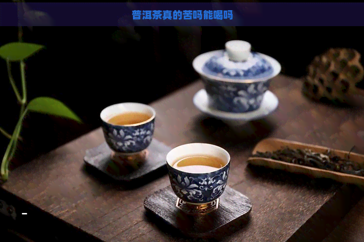 普洱茶真的苦吗能喝吗