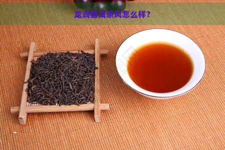 龙润普洱茶风怎么样？