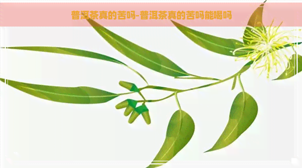 普洱茶真的苦吗-普洱茶真的苦吗能喝吗