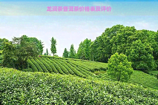 龙润茶普洱茶价格表及评价