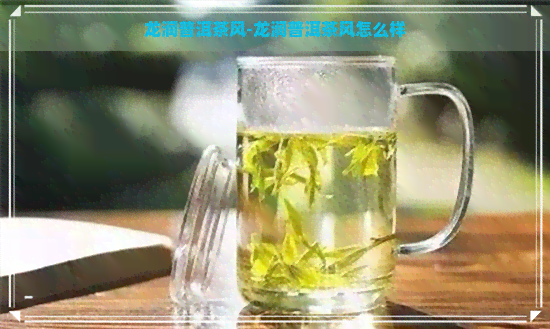 龙润普洱茶风-龙润普洱茶风怎么样