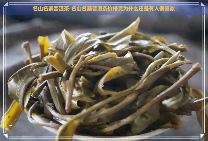 名山名寨普洱茶-名山名寨普洱茶价格贵为什么还是有人很喜欢