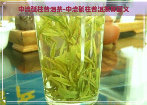 中流砥柱普洱茶-中流砥柱普洱茶陈国义