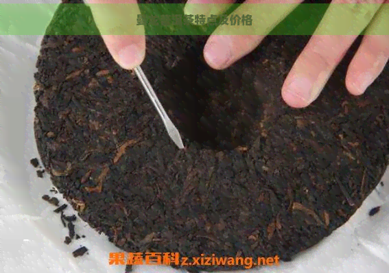 曼龙普洱茶特点及价格