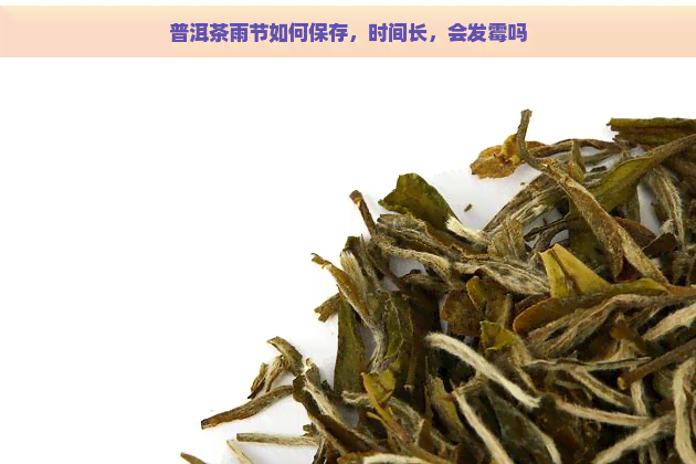 普洱茶雨节如何保存，时间长，会发霉吗