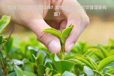 吃油了喝普洱茶可以吗？女性油腻食品后饮普洱茶有益？