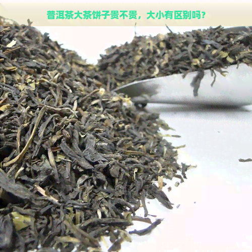 普洱茶大茶饼子贵不贵，大小有区别吗？