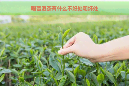 喝普洱茶有什么不好处和坏处