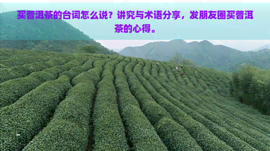 买普洱茶的台词怎么说？讲究与术语分享，发朋友圈买普洱茶的心得。