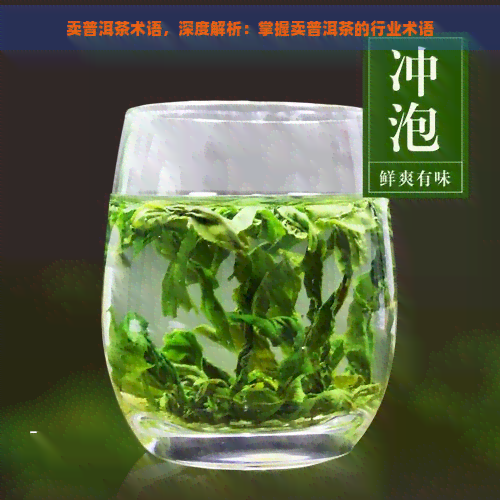 卖普洱茶术语，深度解析：掌握卖普洱茶的行业术语