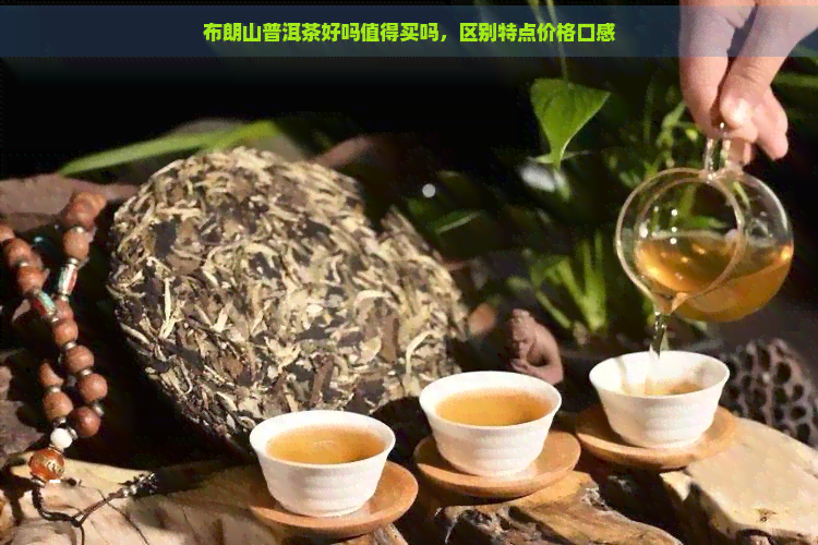 布朗山普洱茶好吗值得买吗，区别特点价格口感