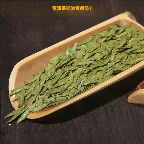 普洱茶能治胃病吗？