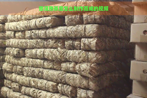 普洱熟茶是怎么制作而成的视频