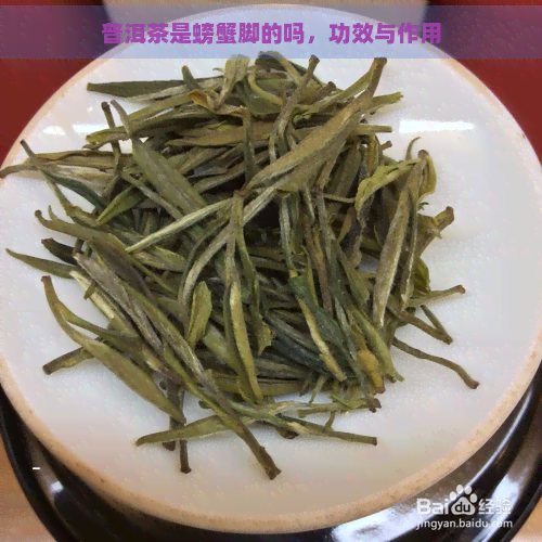 普洱茶是螃蟹脚的吗，功效与作用