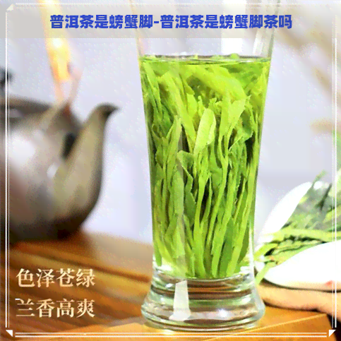 普洱茶是螃蟹脚-普洱茶是螃蟹脚茶吗