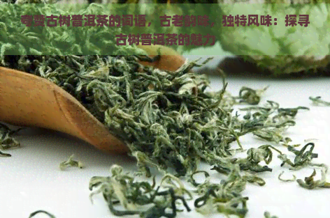 夸赞古树普洱茶的词语，古老韵味，独特风味：探寻古树普洱茶的魅力