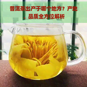 普洱茶出产于哪个地方？产地、品质全方位解析