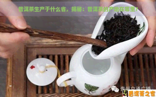 普洱茶生产于什么省，揭秘：普洱茶的产地在哪里？