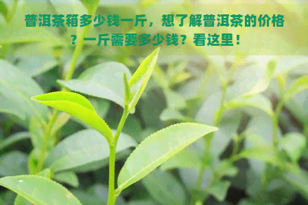 普洱茶箱多少钱一斤，想了解普洱茶的价格？一斤需要多少钱？看这里！