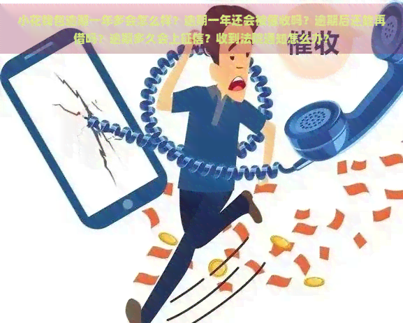 小花钱包逾期一年多会怎么样？逾期一年还会被吗？逾期后还能再借吗？逾期多久会上？收到法院通知怎么办？