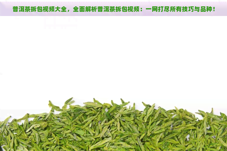 普洱茶拆包视频大全，全面解析普洱茶拆包视频：一网打尽所有技巧与品种！