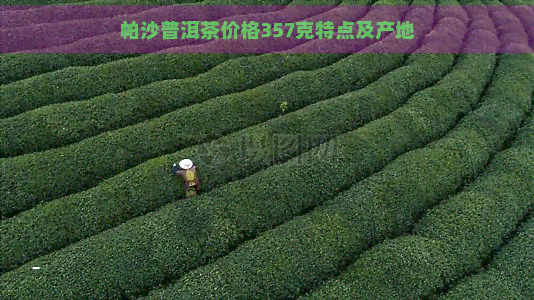 帕沙普洱茶价格357克特点及产地