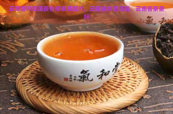 云南善界普洱茶价格表及图片，云南善本普洱茶，云南善茶茶叶