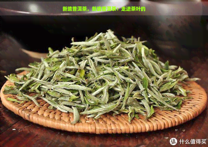 新境普洱茶，新境普洱茶：走进茶叶的