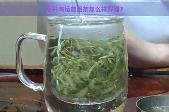 喜开鸿运普洱茶怎么样好喝？