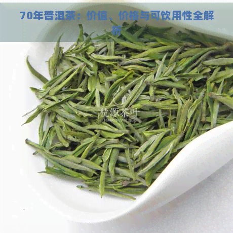 70年普洱茶：价值、价格与可饮用性全解析