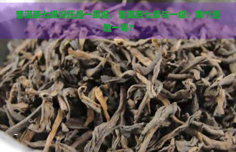 普洱茶七级好还是一级好，普洱茶七级与一级：哪个更胜一筹？