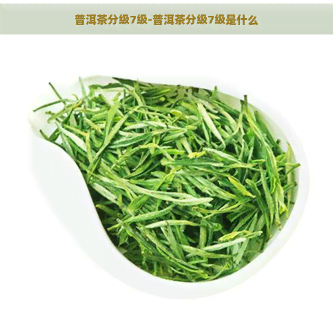 普洱茶分级7级-普洱茶分级7级是什么