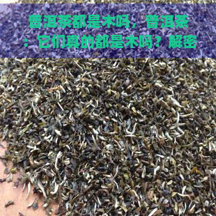 普洱茶都是木吗，普洱茶：它们真的都是木吗？解密茶叶的植物秘密