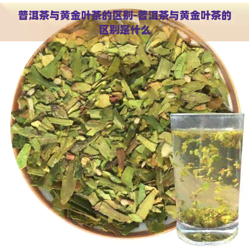 普洱茶与黄金叶茶的区别-普洱茶与黄金叶茶的区别是什么