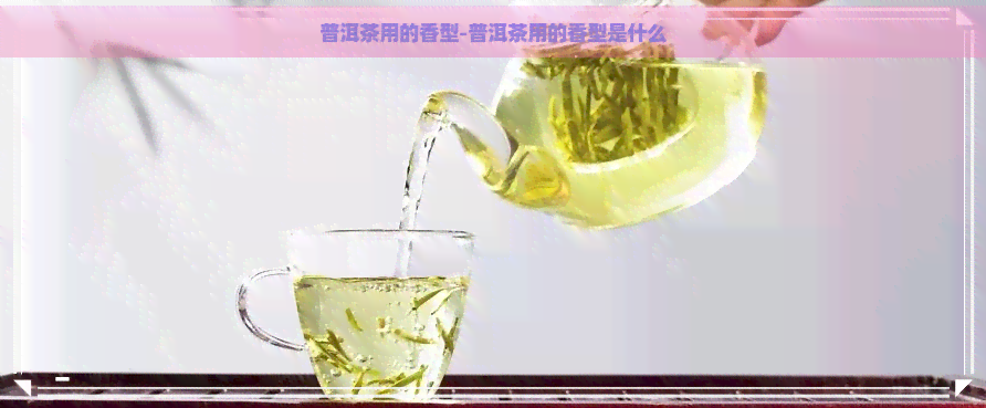 普洱茶用的香型-普洱茶用的香型是什么