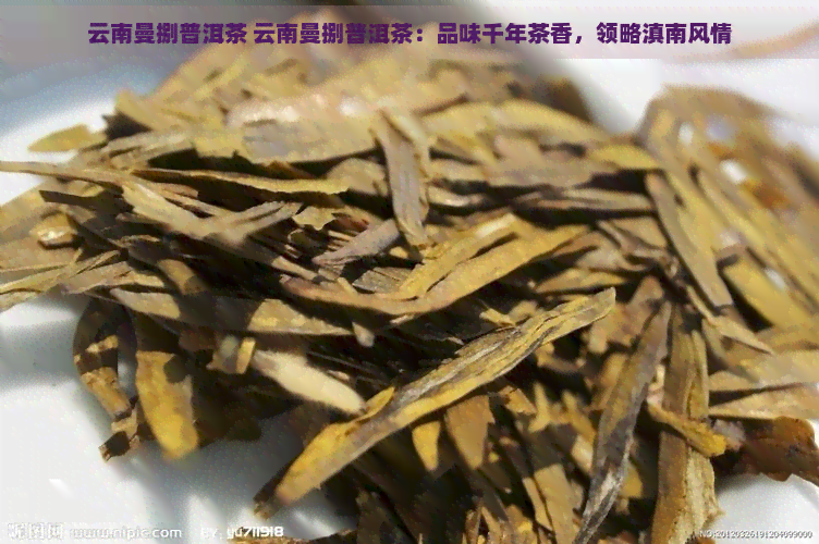 云南曼捌普洱茶 云南曼捌普洱茶：品味千年茶香，领略滇南风情