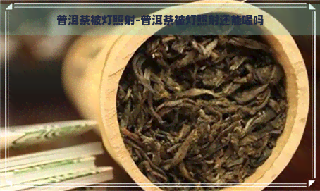 普洱茶被灯照射-普洱茶被灯照射还能喝吗