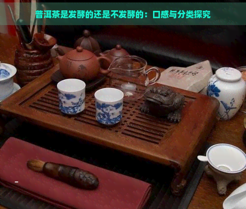 普洱茶是发酵的还是不发酵的：口感与分类探究