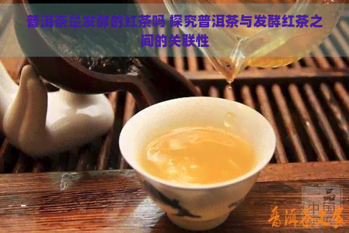 普洱茶是发酵的红茶吗 探究普洱茶与发酵红茶之间的关联性