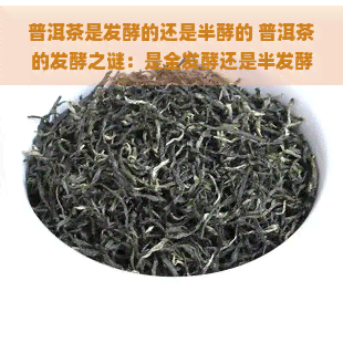 普洱茶是发酵的还是半酵的 普洱茶的发酵之谜：是全发酵还是半发酵？