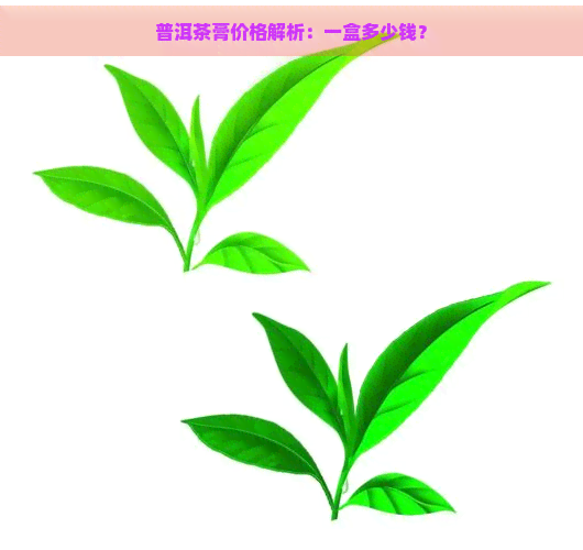 普洱茶膏价格解析：一盒多少钱？