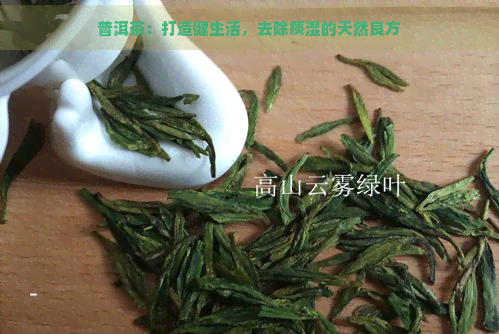 普洱茶：打造健生活，去除痰湿的天然良方