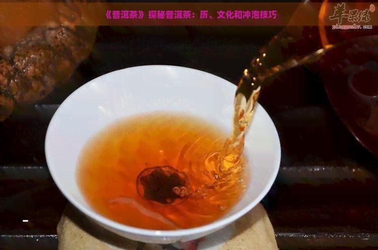 《普洱茶》 探秘普洱茶：历、文化和冲泡技巧