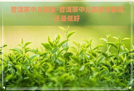 普洱茶中儿茶素-普洱茶中儿茶素含量高还是低好