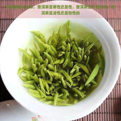 普洱茶是什么茶，普洱茶是寒性还是性，普洱茶是不是红茶，普洱茶是凉性还是热性的