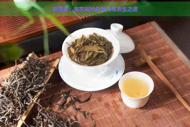 普洱茶：东方树叶的魅力与养生之道