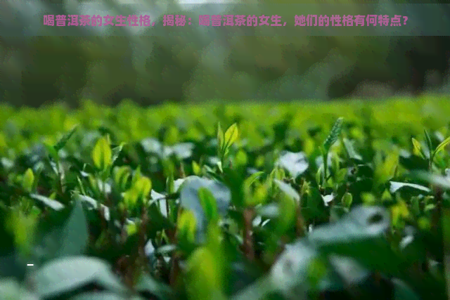 喝普洱茶的女生性格，揭秘：喝普洱茶的女生，她们的性格有何特点？