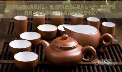 普洱茶外面的壳是什么？普洱茶外面包的是什么叶子？普洱茶外面有白毛还能喝吗？内部白色点点是什么？