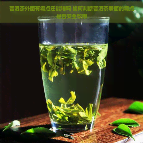 普洱茶外面有霉点还能喝吗 如何判断普洱茶表面的霉点是否安全饮用